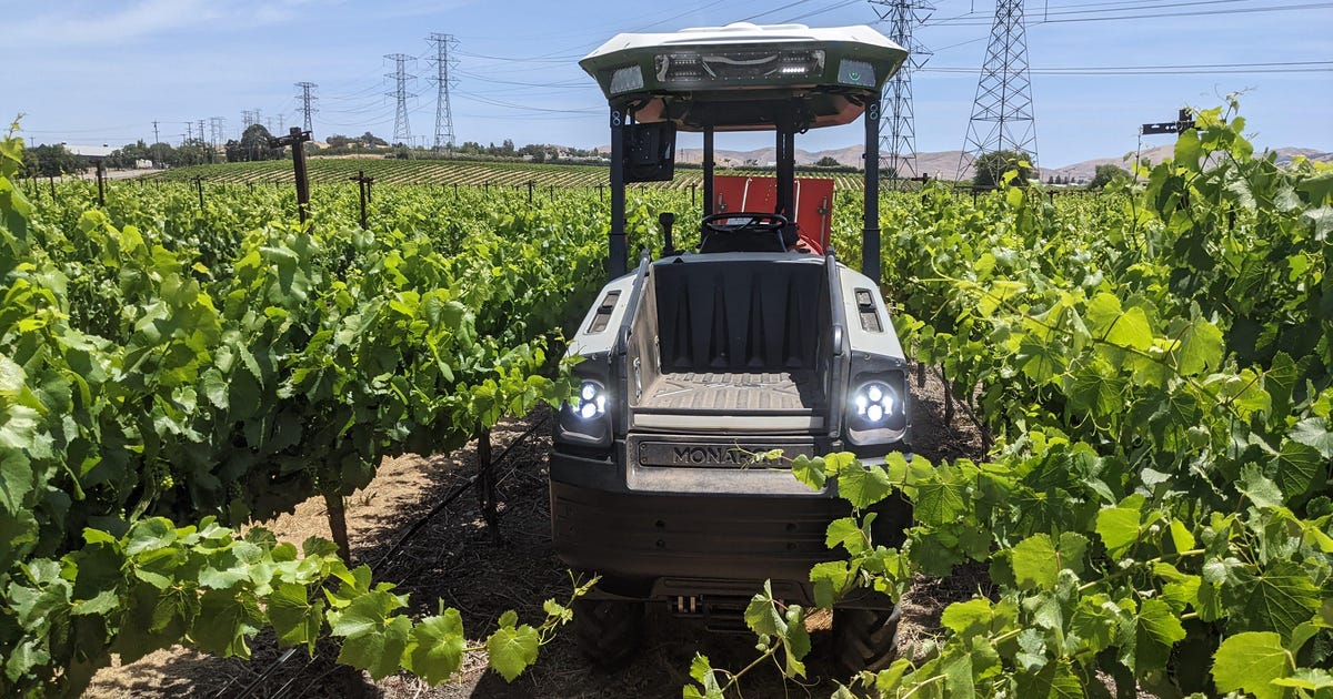 Watch the Monarch Tractor Grow Perfect Wine Grapes