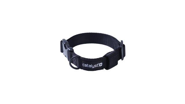 The Catalyst Dog Collar for AirTag is displayed against a white background.