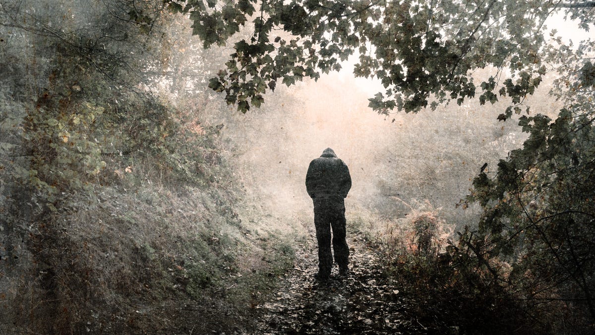 Hunched, hooded person walking in misty woods