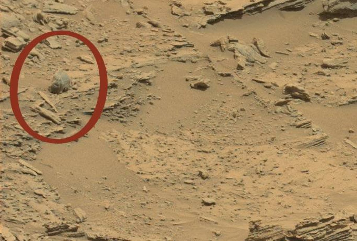 Red circle highlights a weird skull-shaped rock on the rugged Martian ground.
