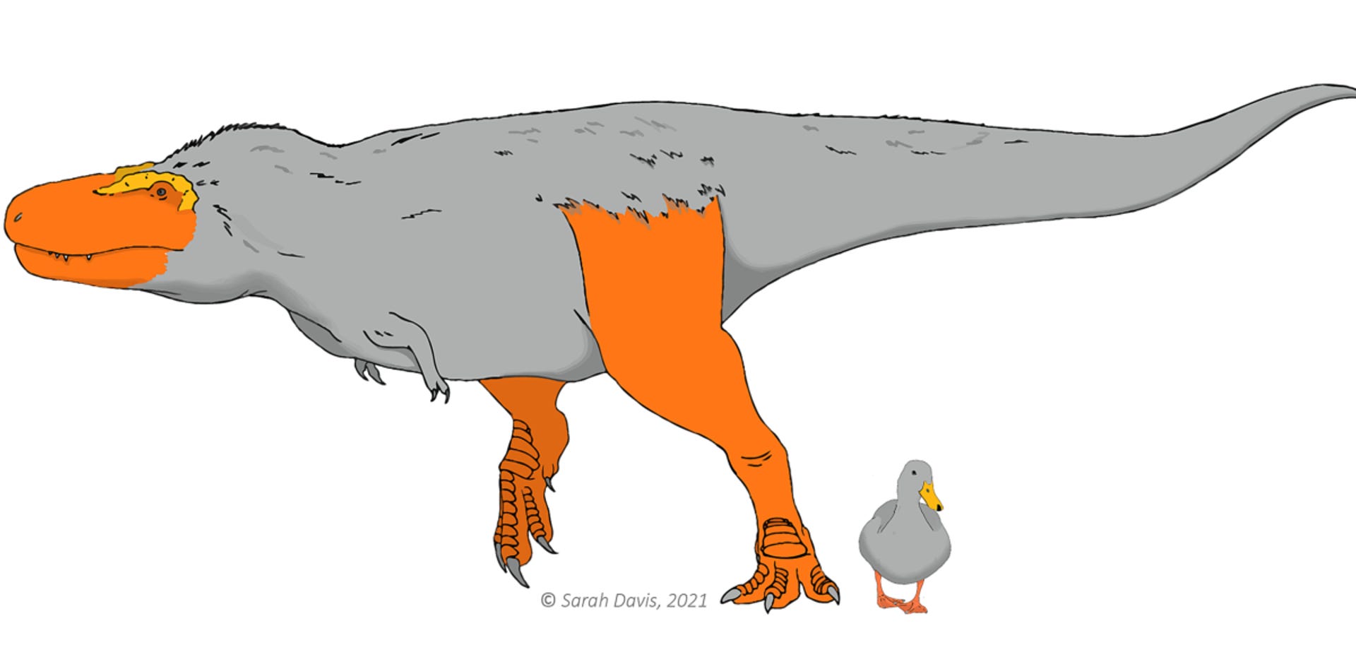 duck-and-dino-web-1-1200x800-c-default.png