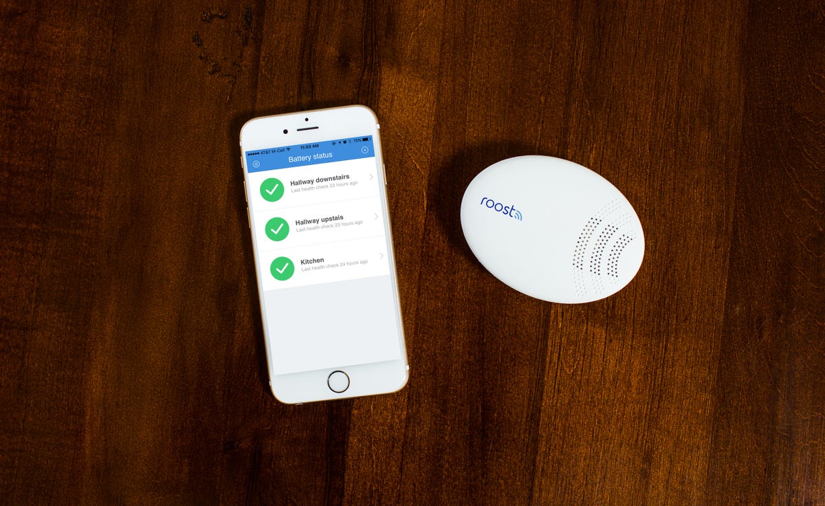 Roost Smart Water and Freeze Detector