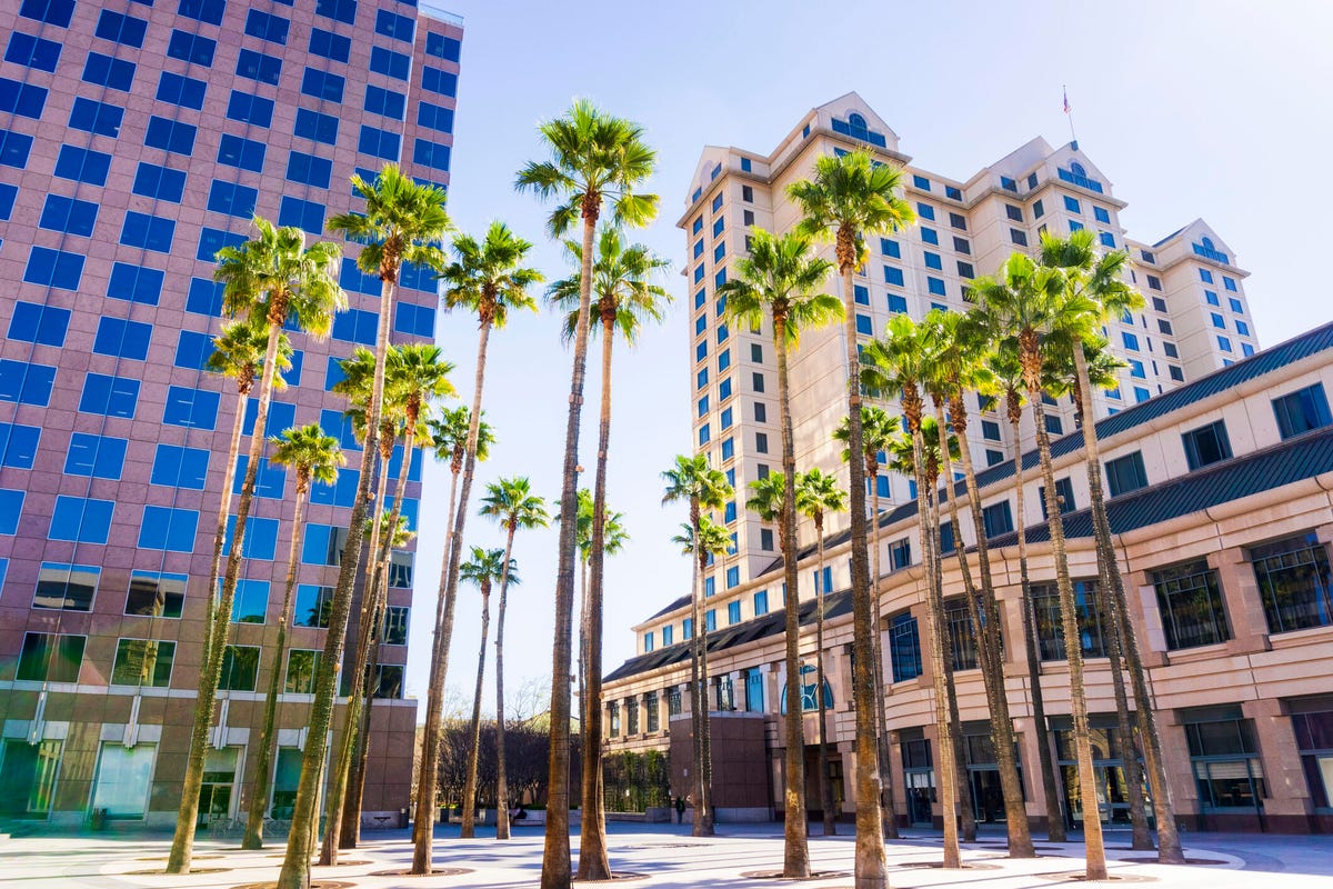 palm trees and buildings in San Jose, Calif.