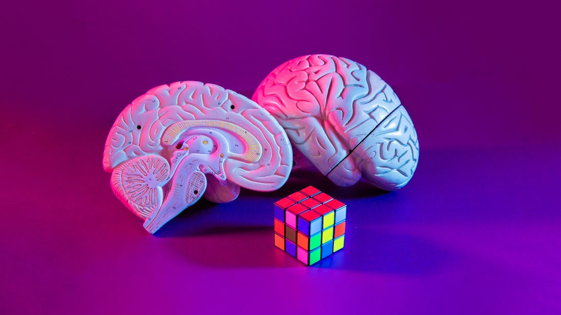 Model of a brain in two halves, plus a Rubik's cube