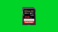 SanDisk 256GB SDXC memory card
