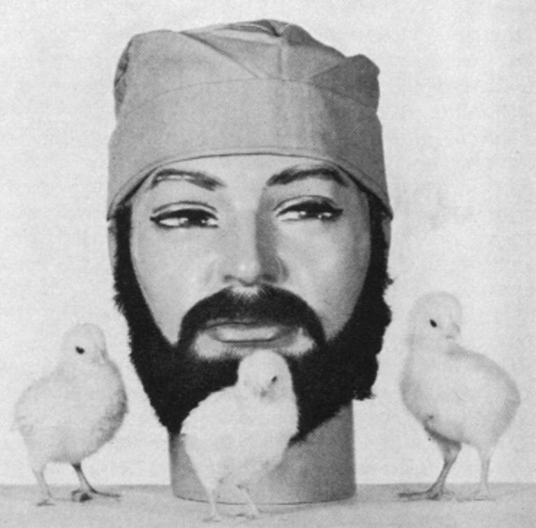 The public health prize went to U.S. government research from 1967 that found that microbes cling to bearded scientists. The experiment involved baby chicks and mannequins sporting natural hair beards.