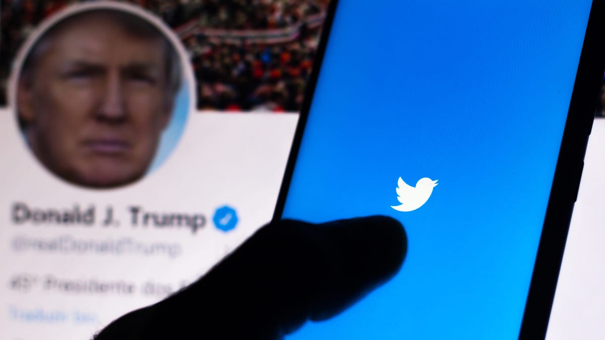 Twitter logo on a smartphone in front of Donald Trump's Twitter profile
