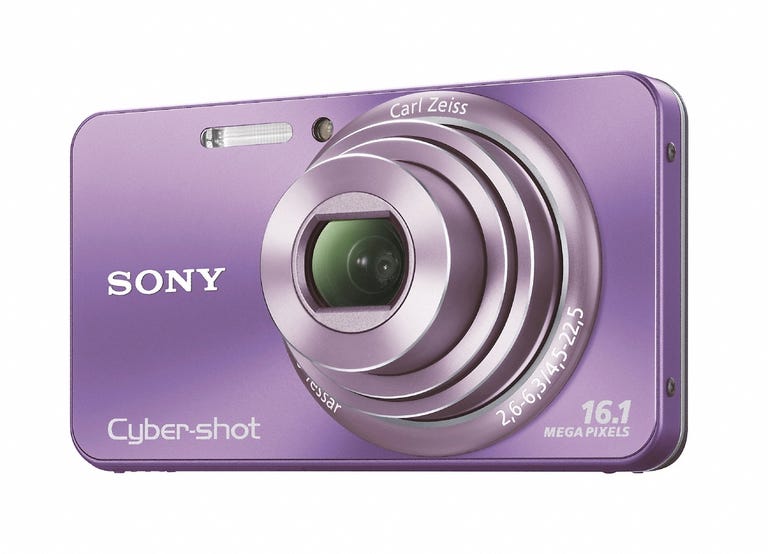 Sony Cyber-shot DSC-W570 with 4 GB SDHC card (Violet)