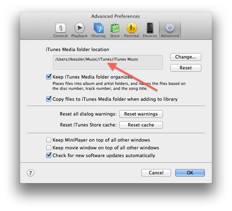 iTunes media folder options