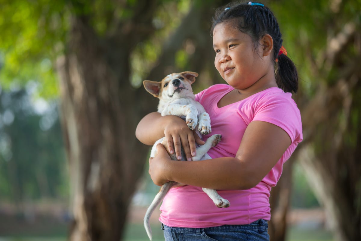 A young girl in a pink shirt holds her dog at the park