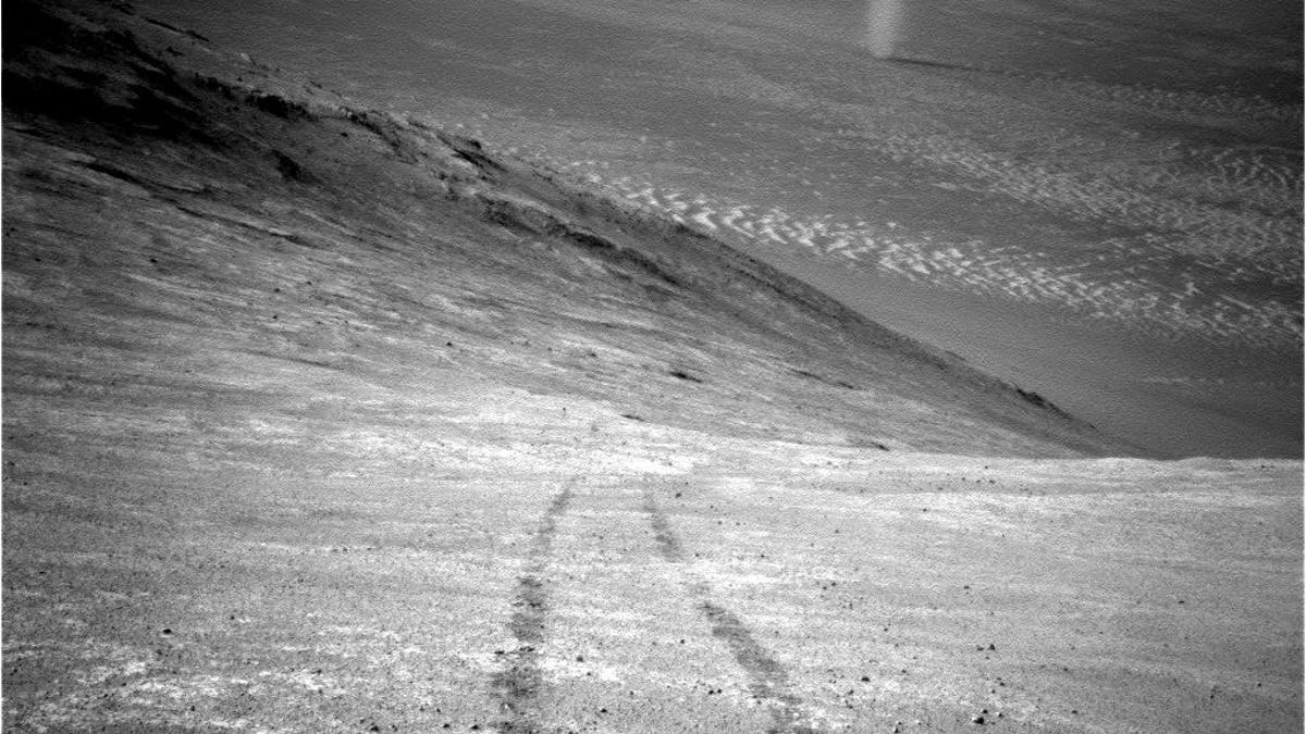 Mars tracks and dust devil
