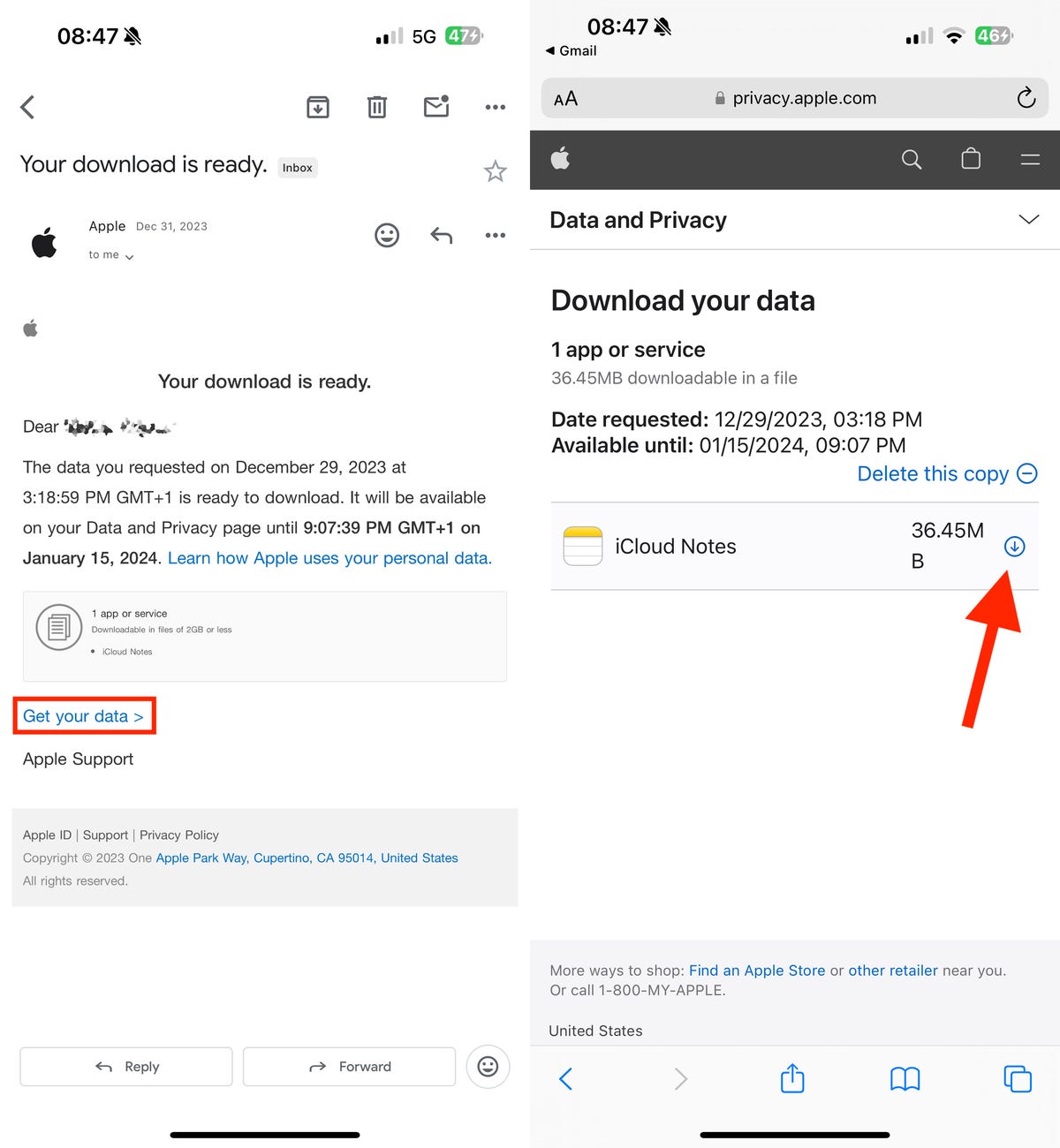 Email from Apple with your notes download link