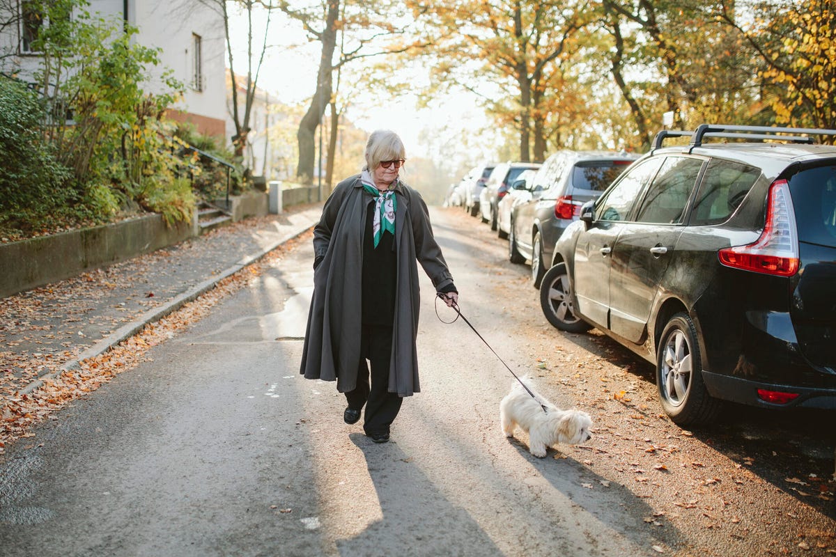An elderly woman walks a fluffy little dog down a tree-lined street.