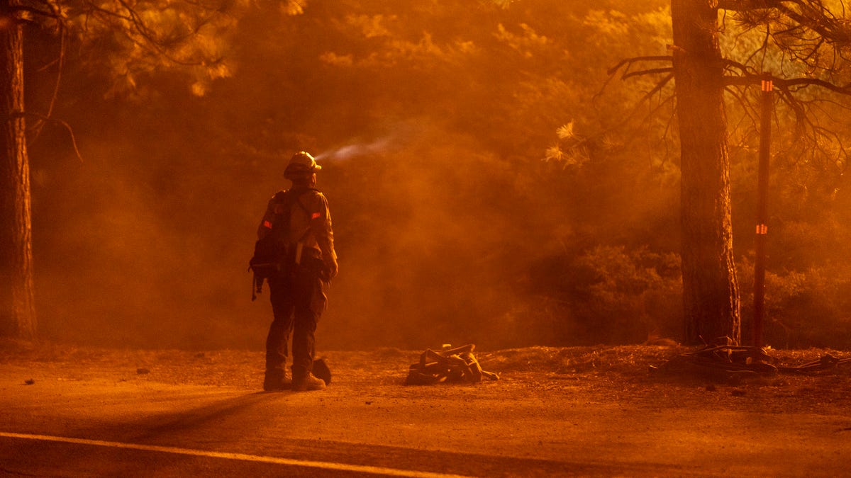 Lone firefighter amid wildfire smoke