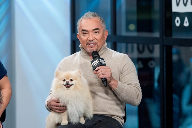 Build Series Presents Cesar Millan and Andrew Millan Discussing "Dog Nation"