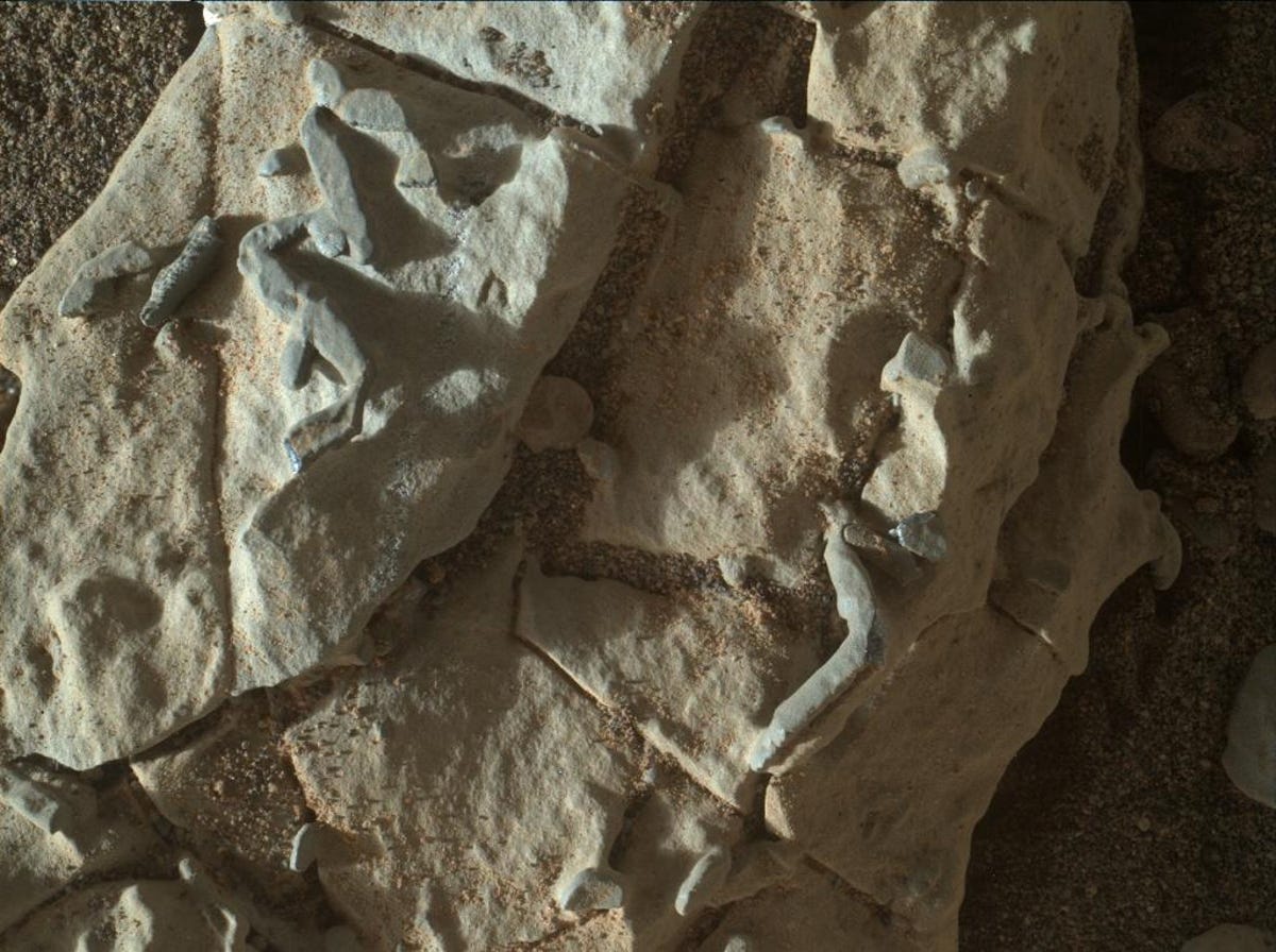 Wiggly raised bits protrude from Martian rock.
