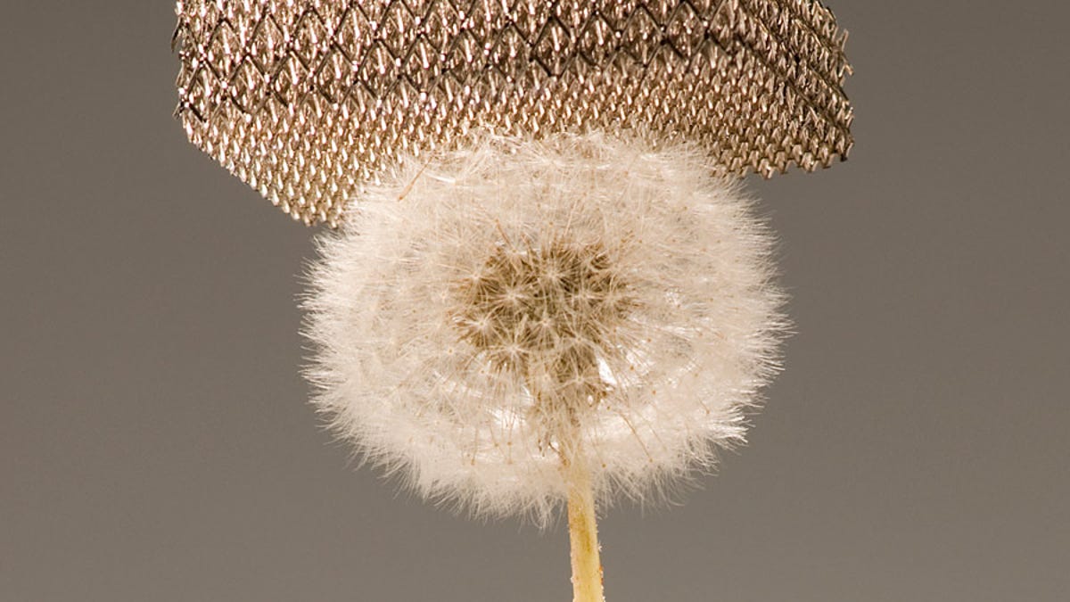 The super-low density of this metal lattice means it can perch with no trouble on a dandelion.