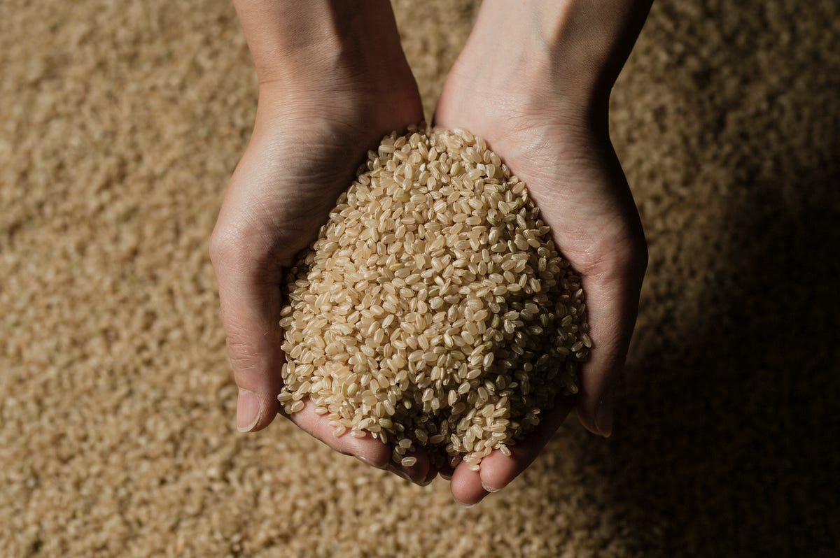 hands holding brown rice