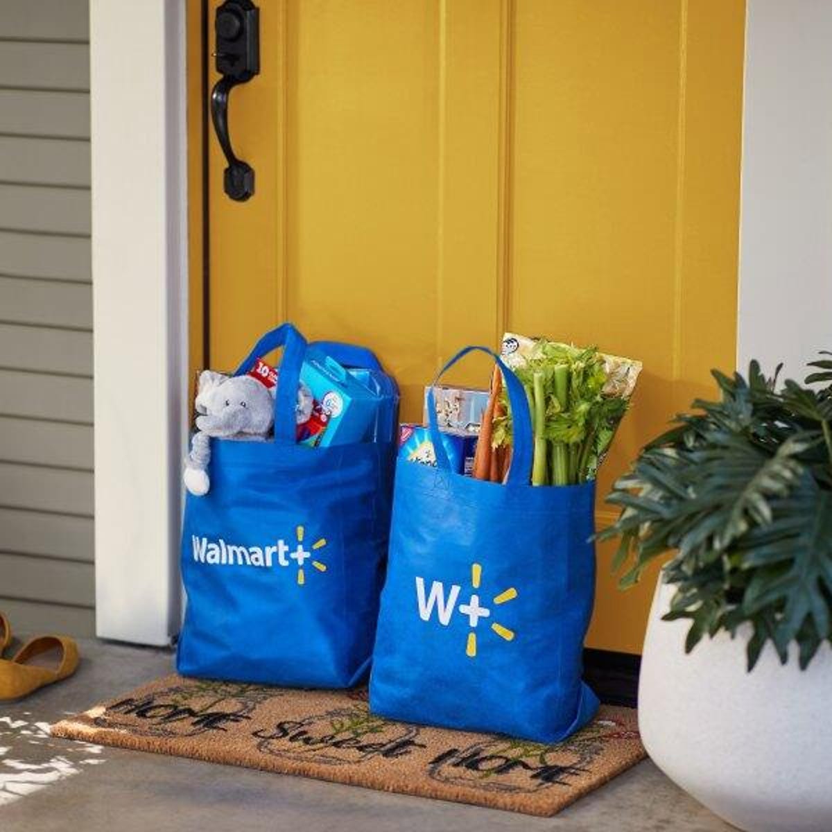 Walmart Plus review: A fast delivery service for groceries and everything  else - CNET