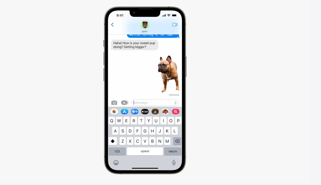 Екранна снимка на нишка в Съобщения, където е добавен изрез на куче