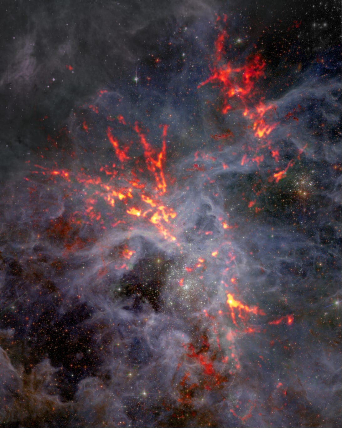 Red and orange wavelength data showcase the filaments of the Tarantula Nebula.