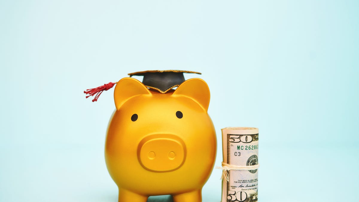 Yellow piggy bank with graduation cap next to a roll of fifty dollar bills