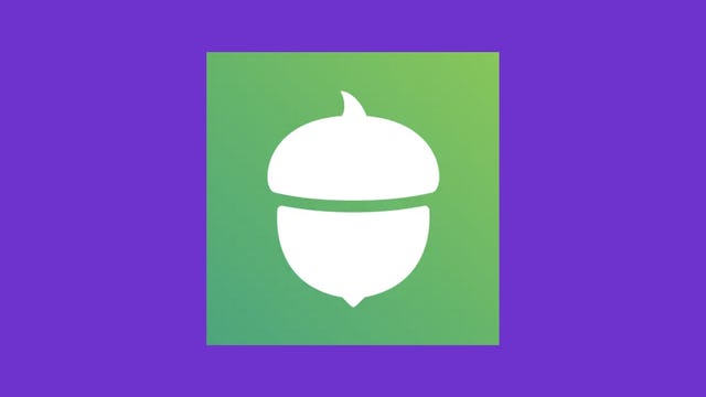green acorns logo on purple background