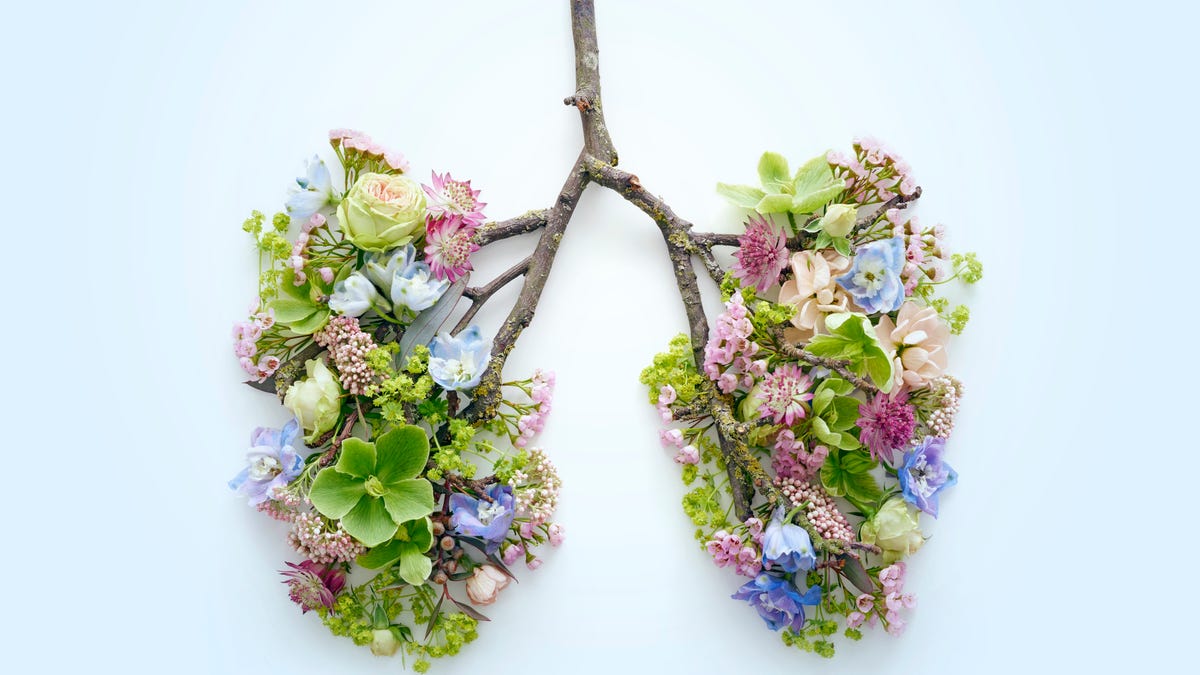 Flowers and twigs in the shape of human lungs.