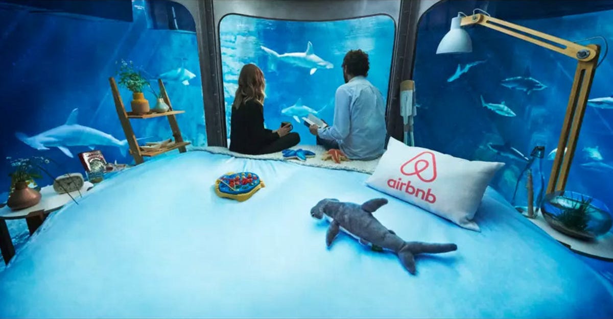 Airbnb and shark room