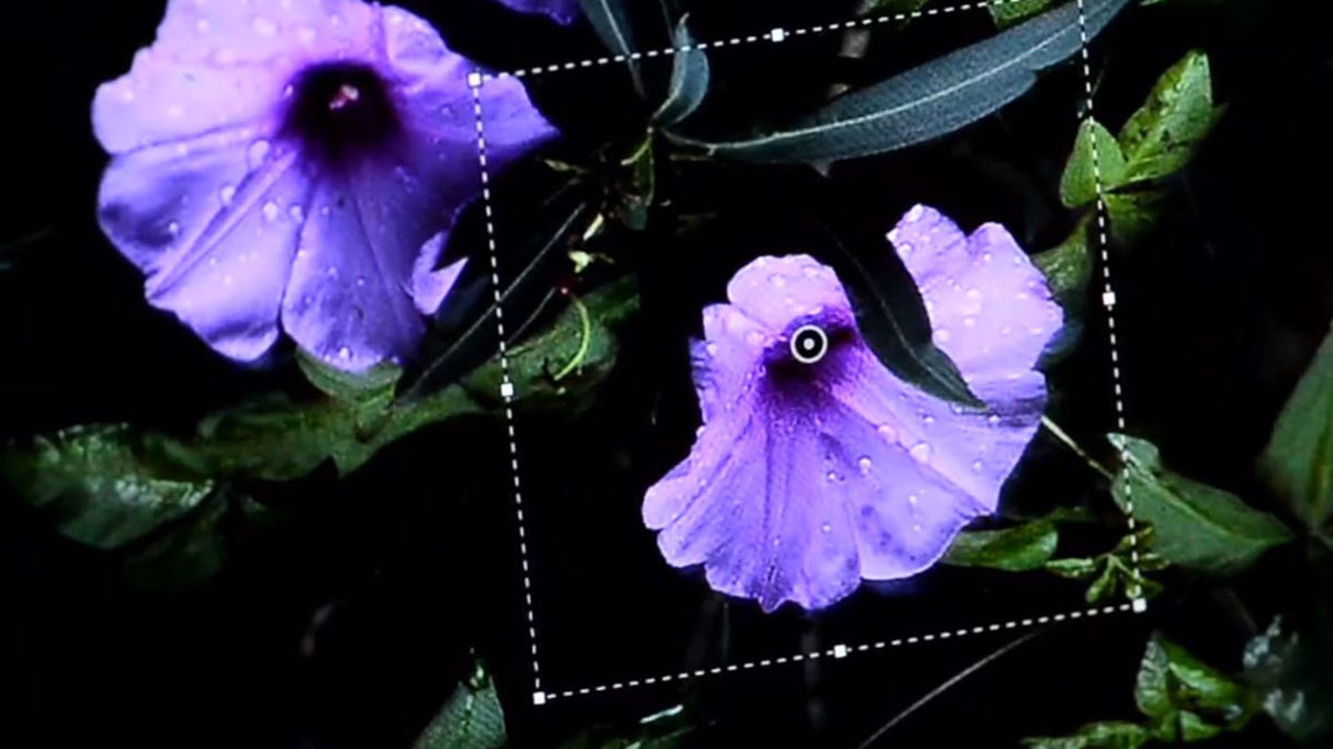 Photoshop will get a new filter designed to detect and correct blur from camera shake.