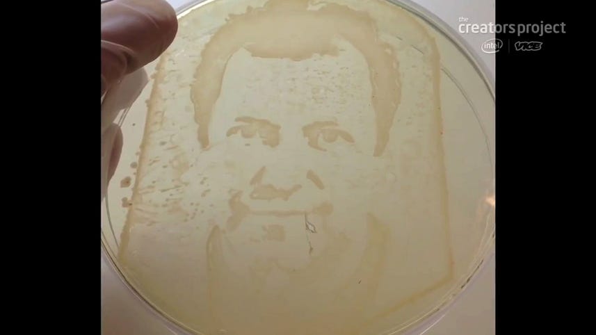 Science and art team up to create cancer cell and bacteria portraits, Ep. 174