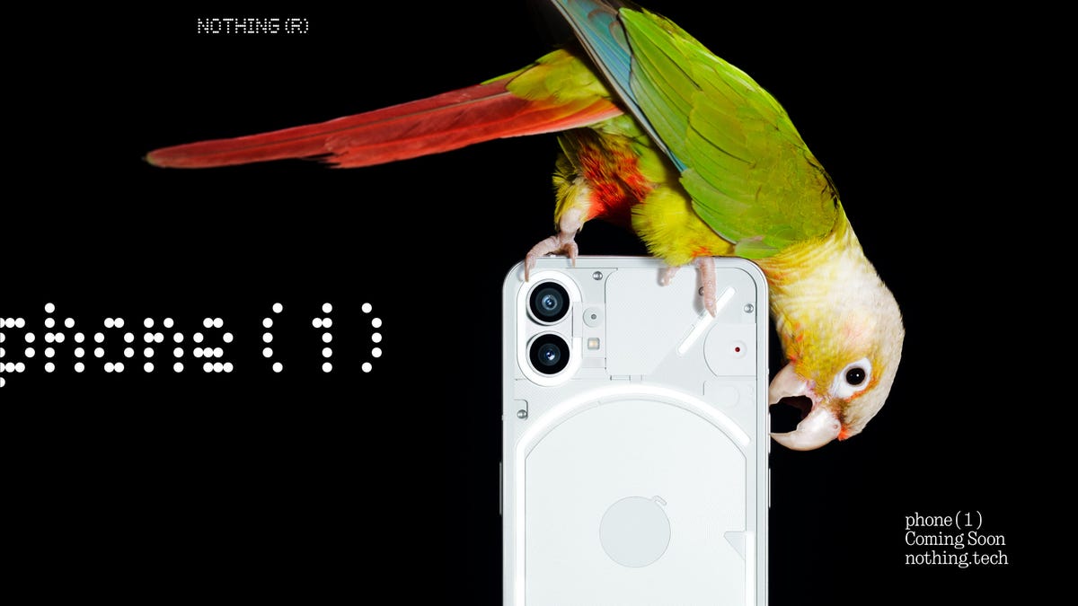 A green, red and pale yellow parrot sits atop a white phone.