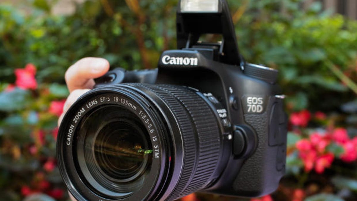 Canon EOS 20D review A fast camera, but not for pixel peepers   CNET