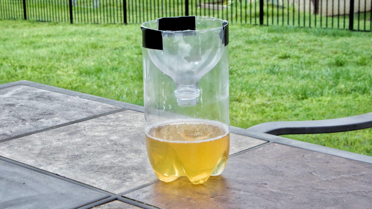 a plastic bottle trap sitting on a table