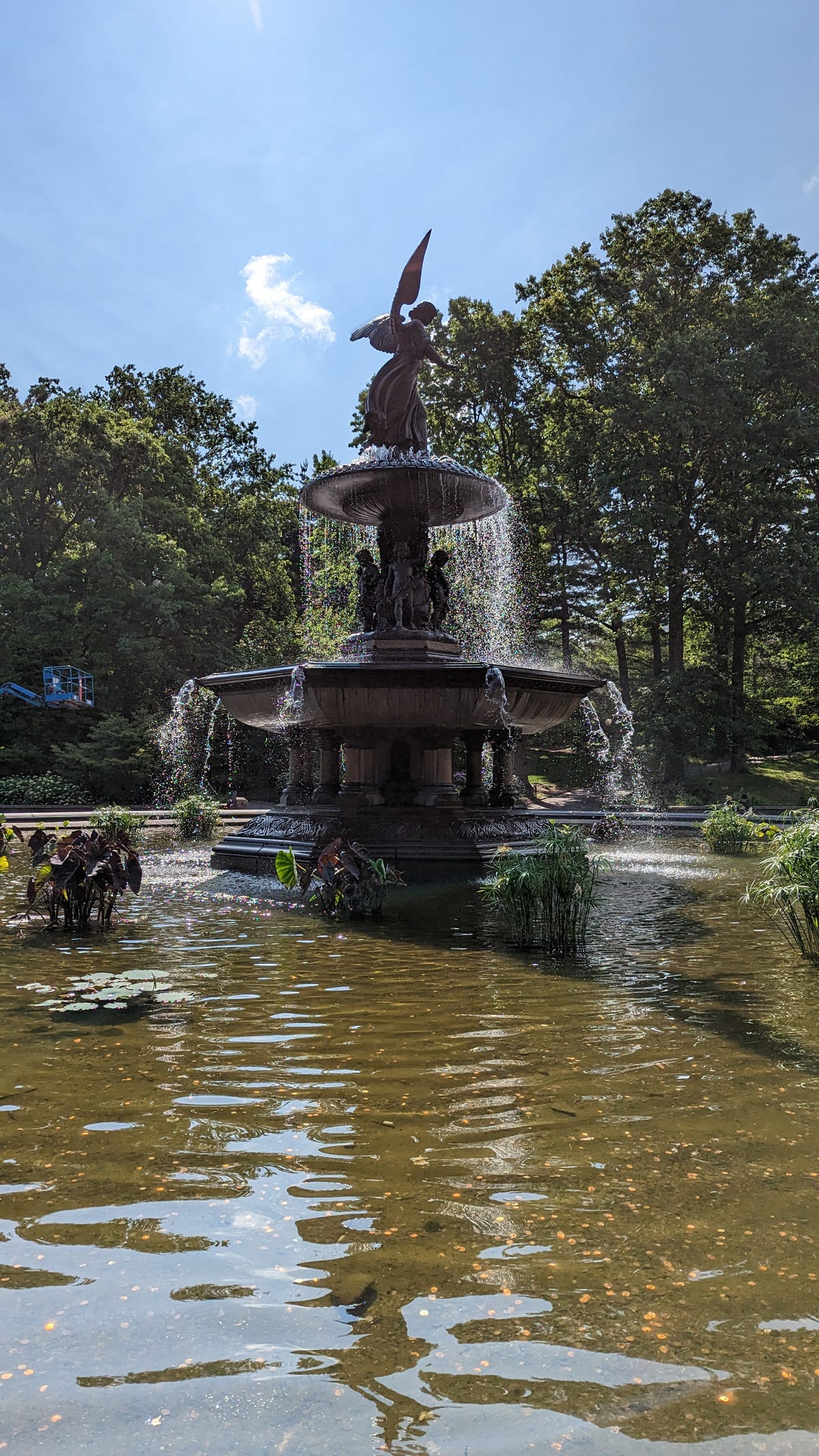 A photo of a fountain in Central Park taken on the Pixel 7 Pro