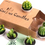 cactus-candles