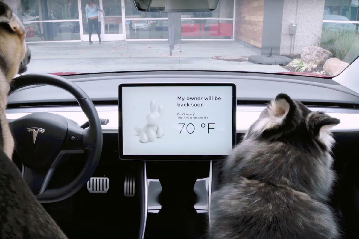 Tesla rolls out Dog Mode, Sentry Mode to keep your car and pup safer - CNET
