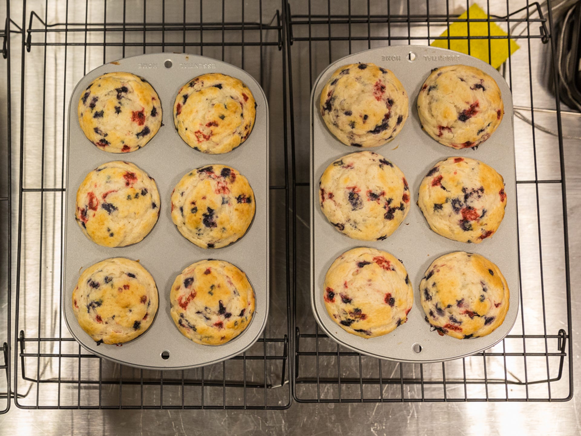 muffin-tests-2.jpg