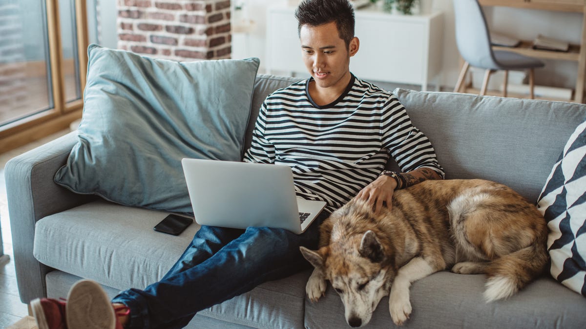 Young man sitting on sofa and reading something on his laptop. His pet dog is on the couch next to him.