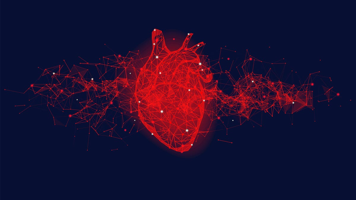 A stylized illustration of a human heart