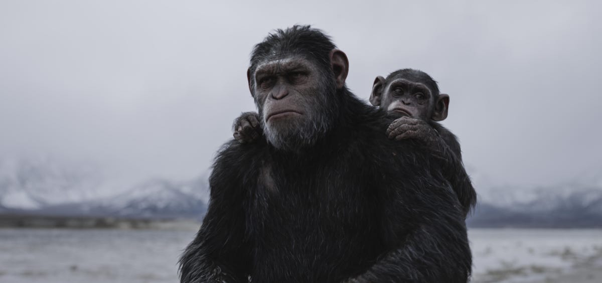 19-war-for-the-planet-of-the-apes-n3xvtg