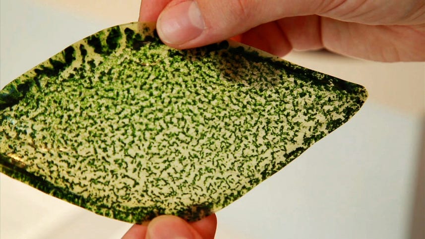 Man-made photosynthesizing leaf could breathe air into buildings, spaceships, Ep. 168