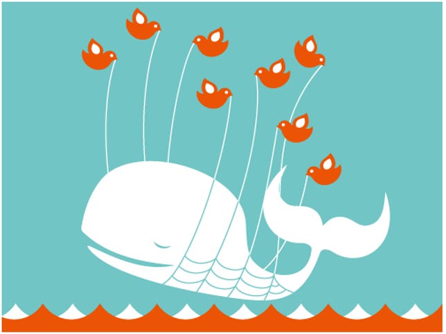 Twitter's whimsical Fail Whale was making an appearance on computers today.