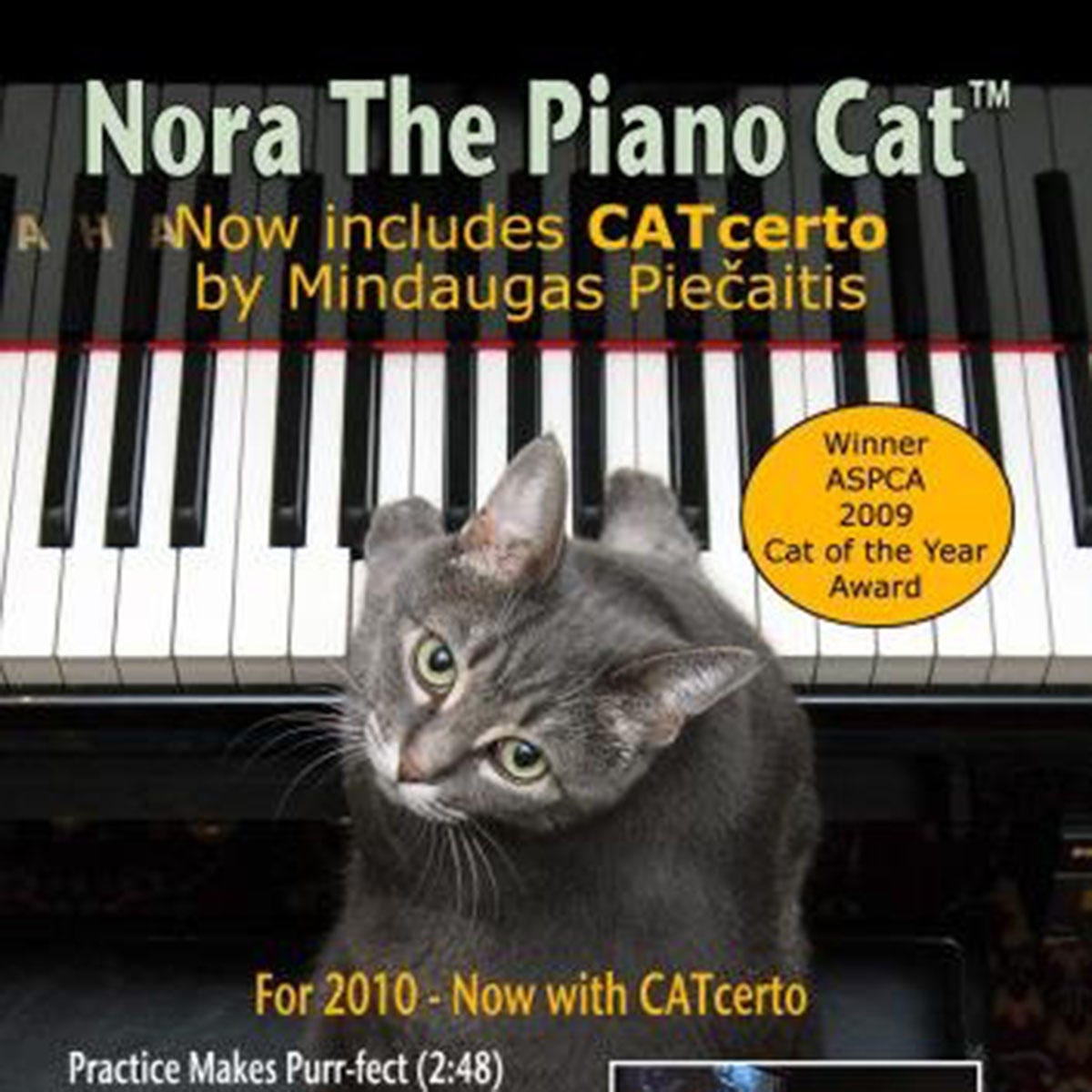 piano-cat