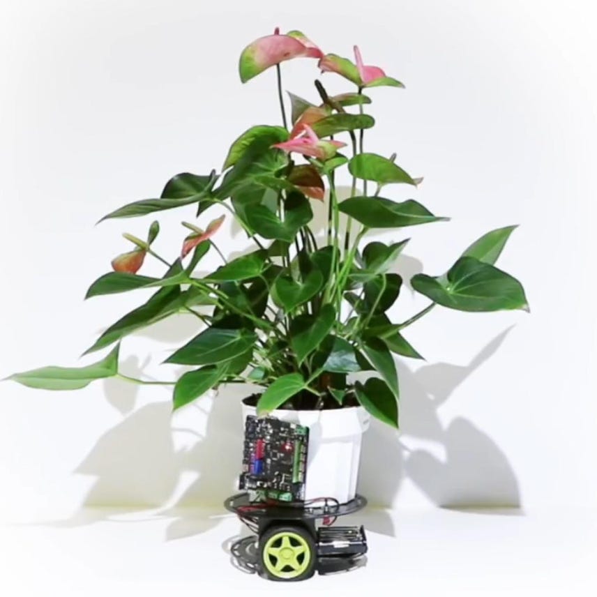 Watch this plant drive a robot