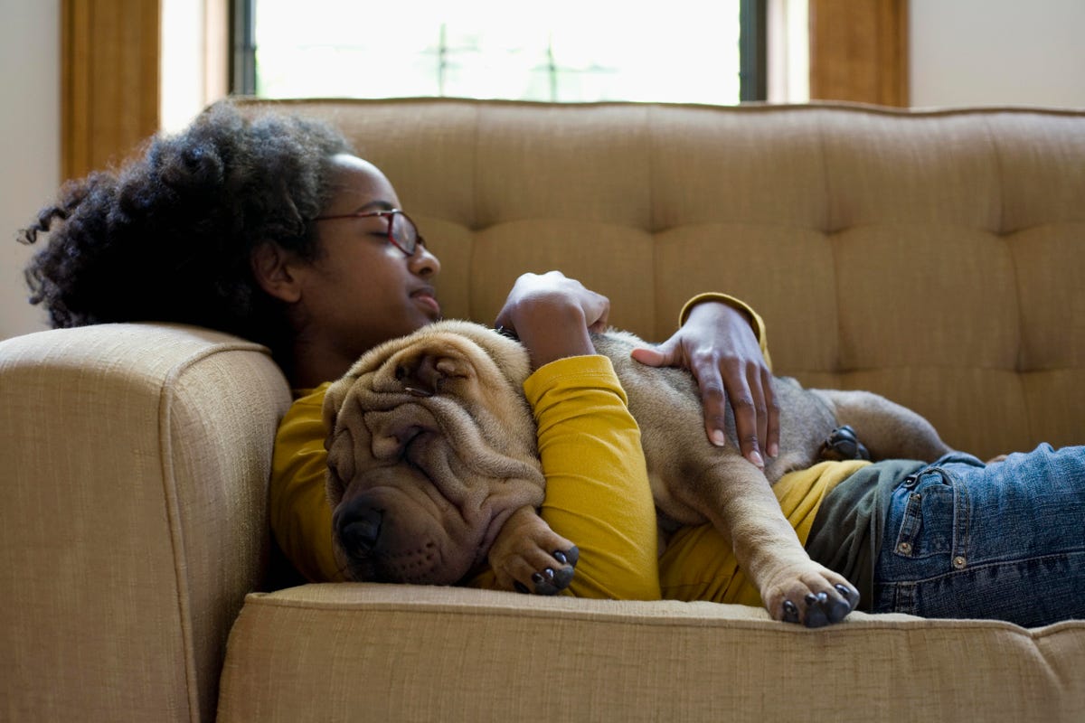 girl asleep on a couch with a dog in her arms