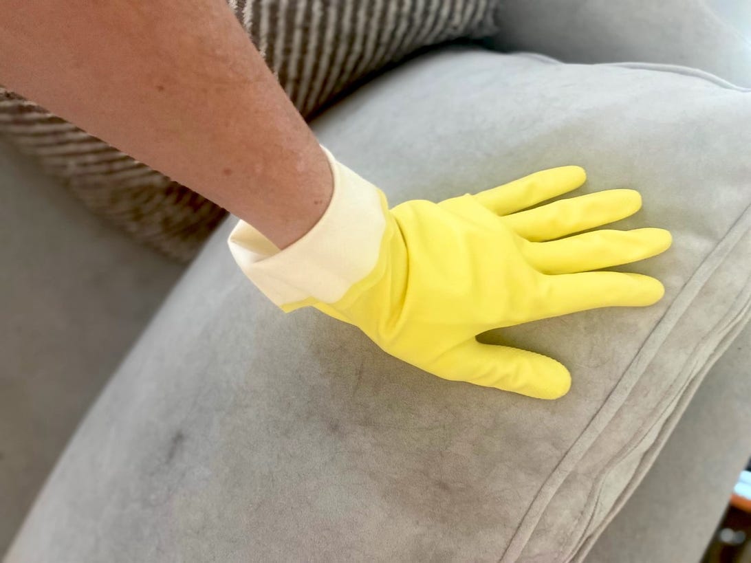 A gloved hand wipes a cat's fur off the couch