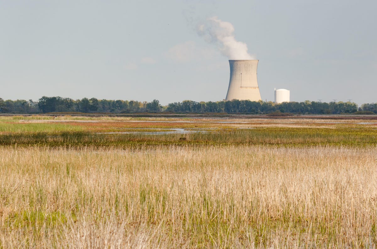 Magee Marsh and the adjacent Ottawa National Wildlife Refuge are unspoiled, but they're located in an industrial part of Ohio. Four miles east, the Davis-Besse Nuclear Power Station cooling tower releases steam into the sky.