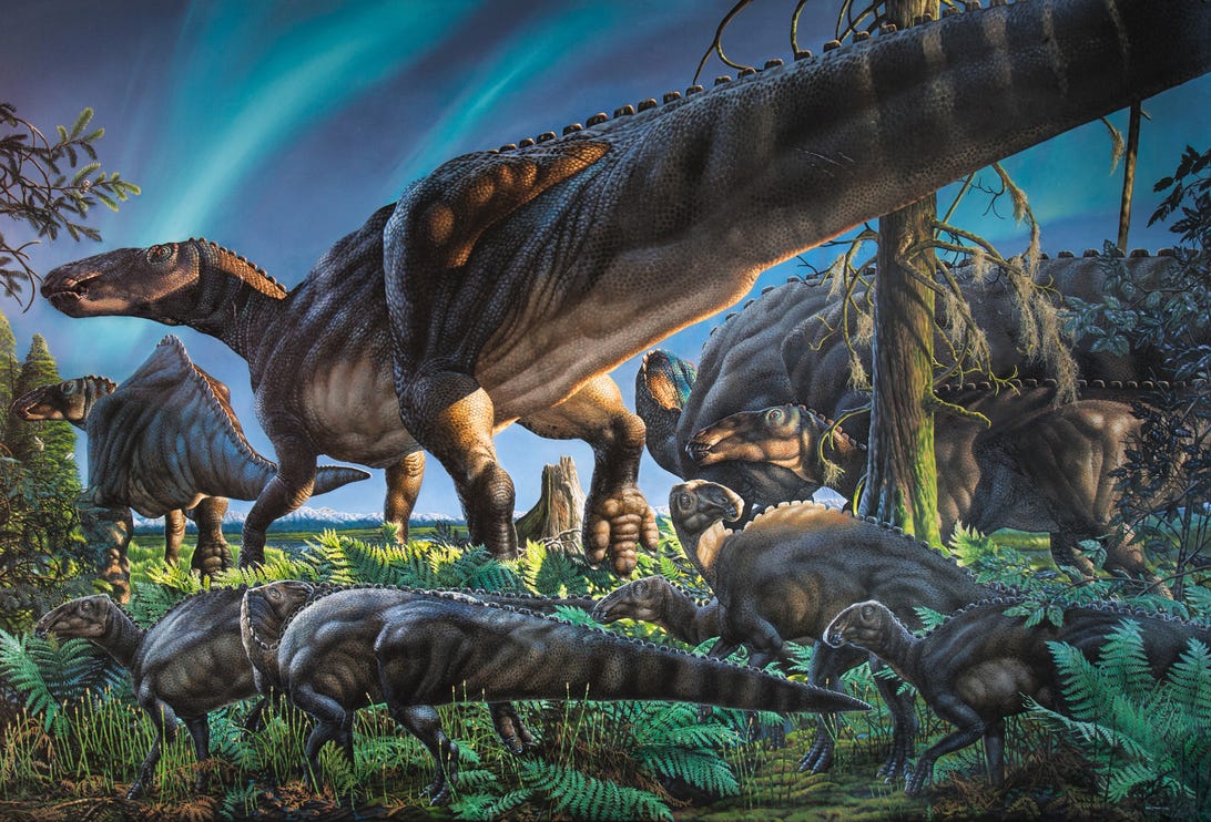 hadrosaur.jpg