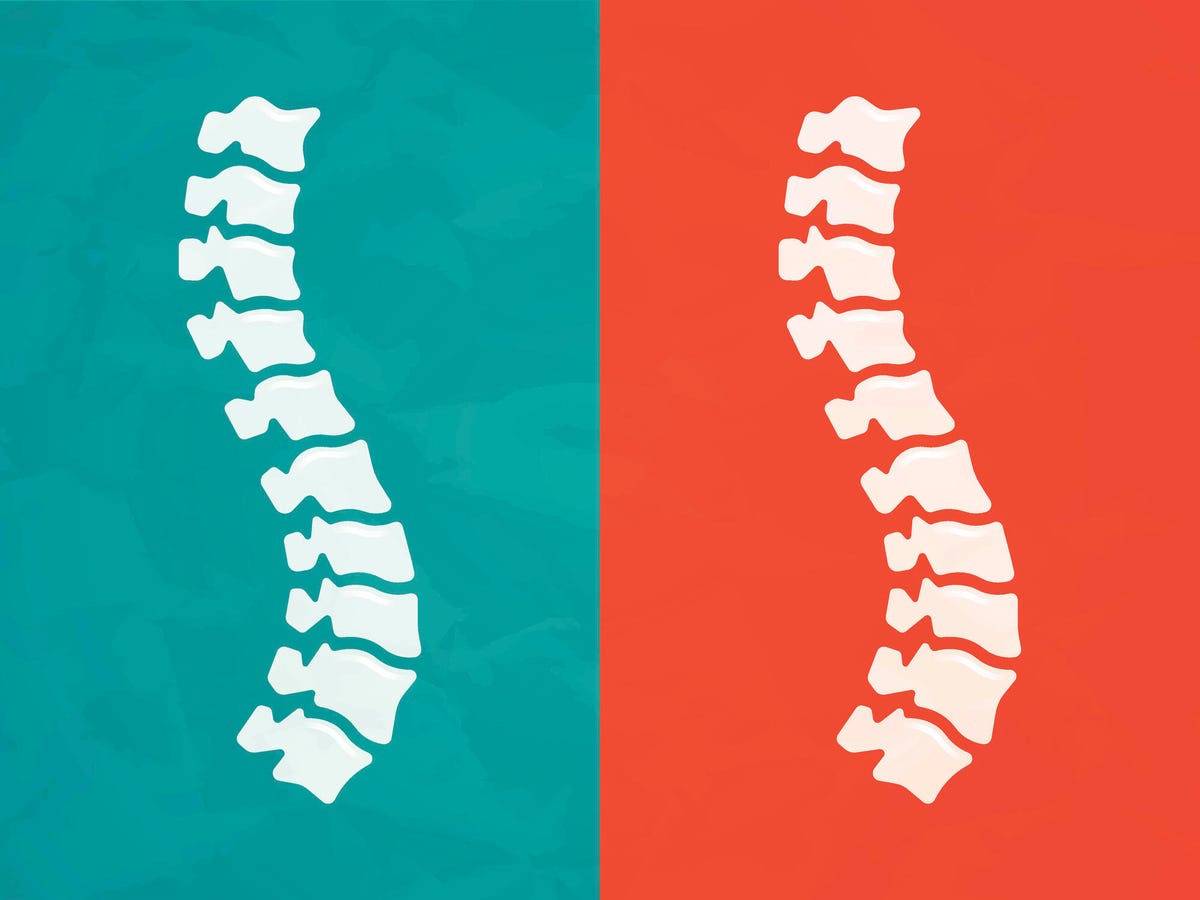 image of two spinal columns, one on a green background and one on a red background